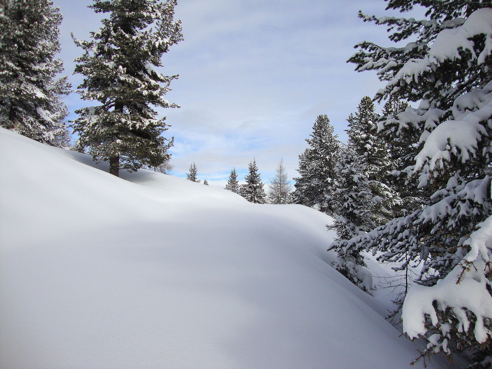 februar-2012-bild-6.jpg