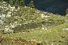 bergsee.jpg